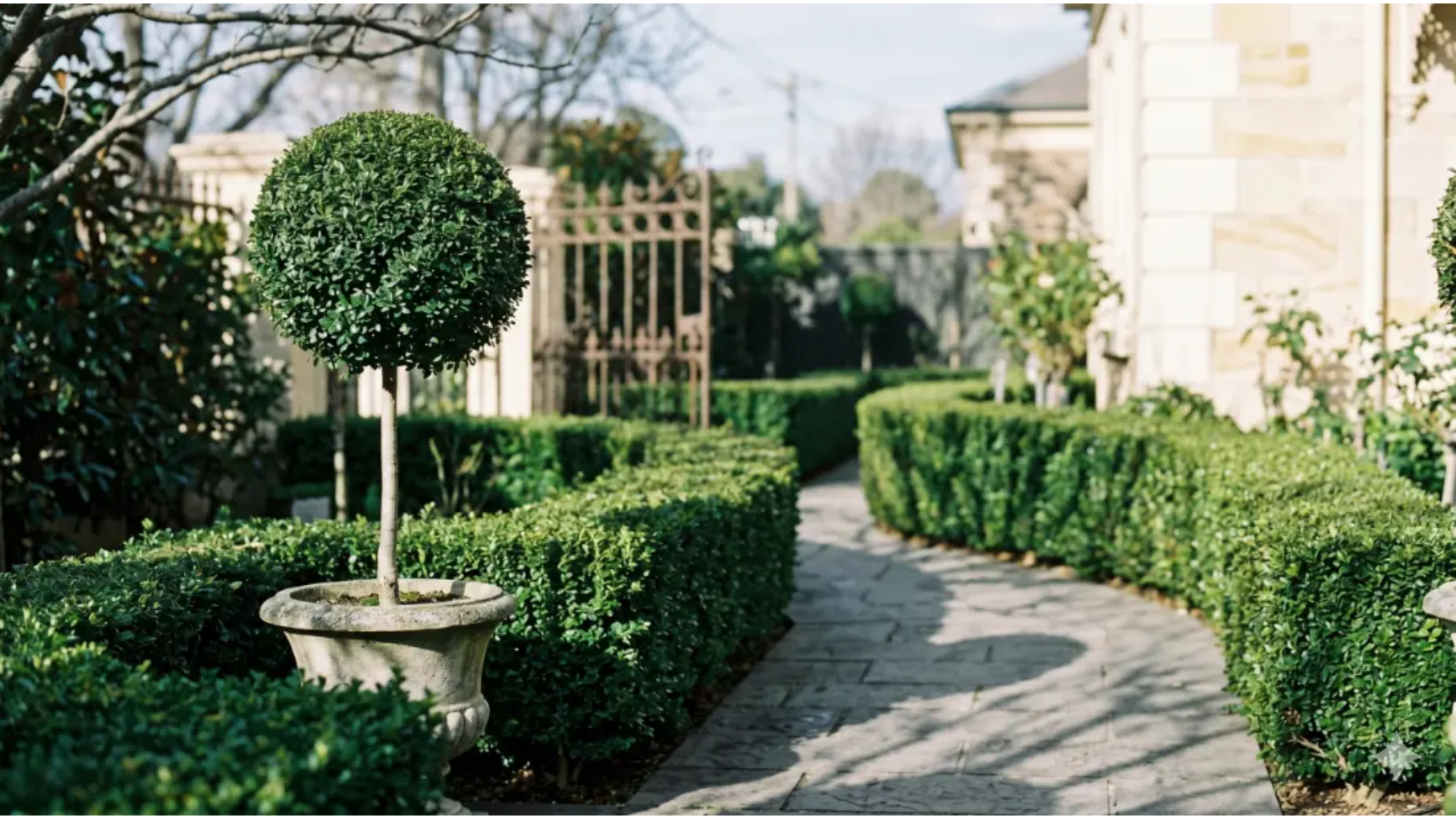 Formal box-hedge entry in a Toorak heritage garden